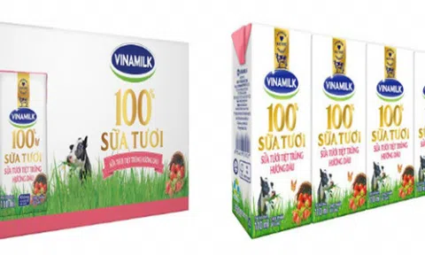 Bài học từ sự thành công của thương hiệu VINAMILK trên thị trường quốc tế