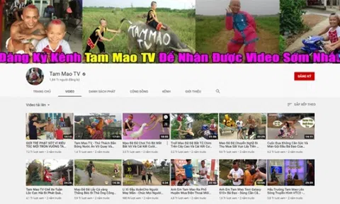 Tầm quan trọng của việc đăng ký bảo hộ nhãn hiệu qua vụ tranh chấp nhãn hiệu “Tam Mao TV”