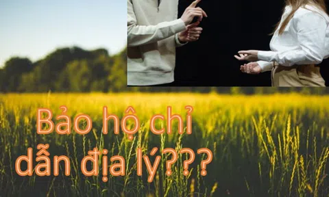 Bảo hộ chỉ dẫn địa lý đồng âm theo quy định của pháp luật sở hữu trí tuệ