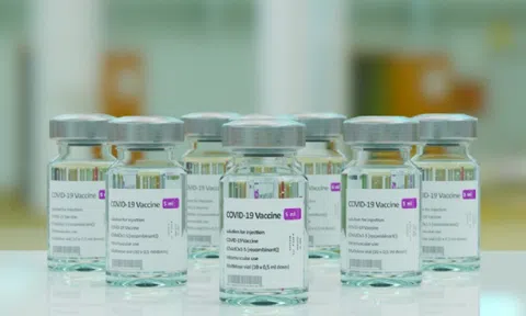 Đình chỉ bảo hộ bằng độc quyền sáng chế vaccine Covid-19 dưới góc độ Luật Sở hữu trí tuệ Việt Nam