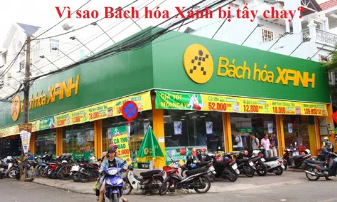 Khủng hoảng truyền thông ảnh hưởng như thế nào đến thương hiệu nhìn từ vụ việc Bách Hóa Xanh