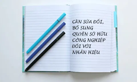 Pháp luật một số quốc gia về xử hành vi xâm phạm quyền đối với nhãn hiệu và tham khảo cho Việt Nam