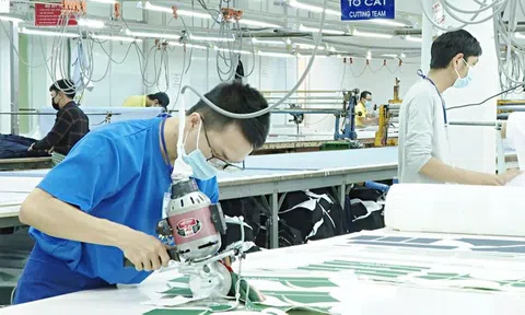 Chú trọng, bổ sung các quy định pháp luật về sở hữu trí tuệ: Nâng cao khả năng cạnh tranh và bảo vệ lợi ích của doanh nghiệp