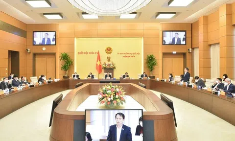 Không thu hẹp đối tượng xử phạt vi phạm hành chính trong lĩnh vực sở hữu trí tuệ