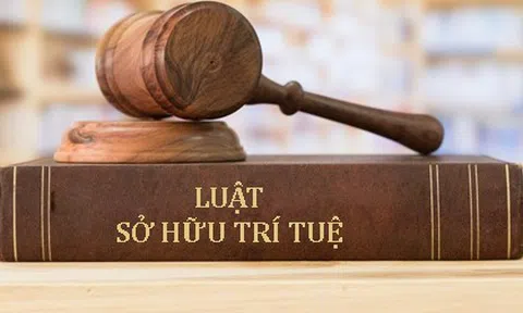 Ảnh hưởng của Luật sửa đổi, bổ sung năm 2022 một số điều của Luật sở hữu trí tuệ tới xác lập quyền sáng chế