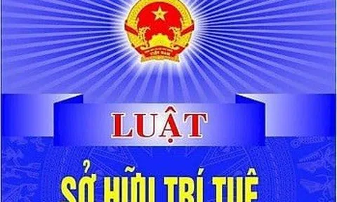 Thực thi quy định mới về nhãn hiệu theo Luật sửa đổi, bổ sung một số điều của Luật Sở hữu trí tuệ năm 2022