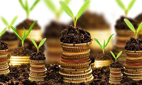 Chính sách tiền tệ xanh nhìn từ các nước và gợi mở với Việt Nam