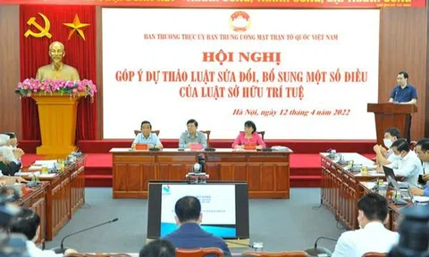 'Phải có Tòa án về Sở hữu trí tuệ'