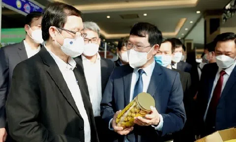 Sở hữu trí tuệ - Công cụ 'nâng tầm' hoạt động đổi mới sáng tạo