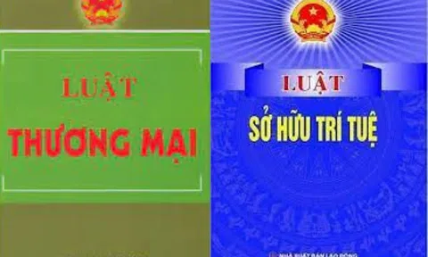 Doanh nghiệp nhỏ và vừa Việt Nam với vấn đề thương mại hóa tài sản trí tuệ