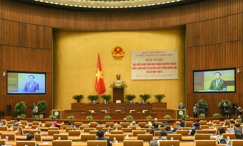 Vi phạm sở hữu trí tuệ: Chỉ xử phạt hành chính không đủ sức răn đe