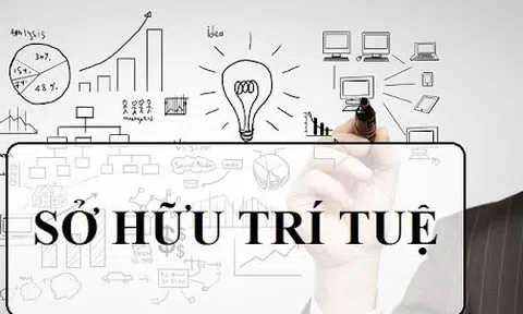 Cục Sở hữu trí tuệ và Cơ quan Sáng chế Nhật Bản gia hạn triển khai chương trình thẩm định nhanh đơn sáng chế đến năm 2025