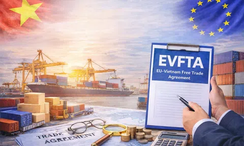 Quy tắc xuất xứ trong CPTPP, EVFTA và RCEP: Rủi ro pháp lý và yêu cầu quản trị tuân thủ đối với Việt Nam