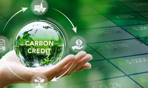 Cơ chế pháp lý điều chỉnh thị trường các – bon tại Việt Nam: Thực trạng pháp luật và định hướng hoàn thiện