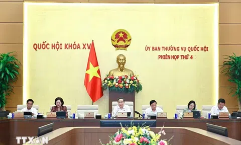 Đề xuất 7 nhóm chính sách định hướng sửa đổi Luật Đất đai