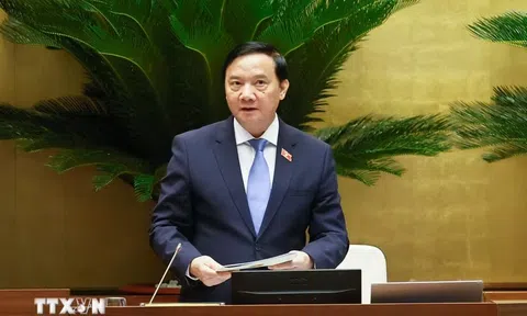 Nâng cao hiệu quả đấu tranh phòng, chống tội phạm và vi phạm pháp luật