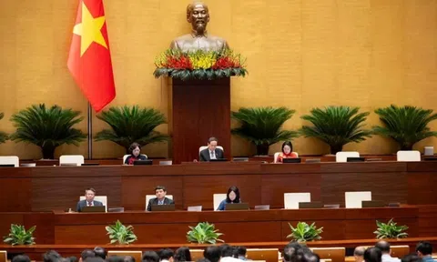 Quốc hội đề nghị tăng cường thanh tra, xử lý vi phạm trong hoạt động xuất bản