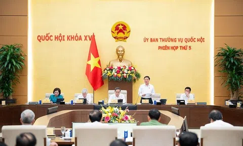Ủy ban Thường vụ Quốc hội cho ý kiến về định hướng, chính sách dự án Luật Tổ chức cơ quan điều tra hình sự (sửa đổi)