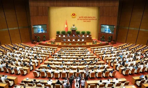 Quốc hội nghe Tờ trình và Báo cáo ý kiến về định hướng chính sách sửa đổi Luật Đất đai năm 2024