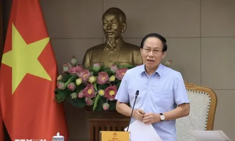 Kết quả của tổng rà soát phải là phương án xử lý, không phải chỉ là danh mục văn bản