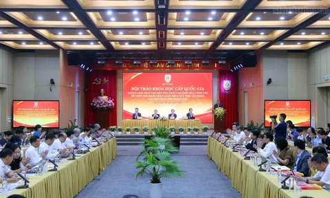 Tổ chức thi hành pháp luật chuyên nghiệp, ổn định, thích ứng linh hoạt với thực tiễn