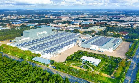 50 năm Vinamilk: Khi “đạt chuẩn” chưa phải là điểm dừng