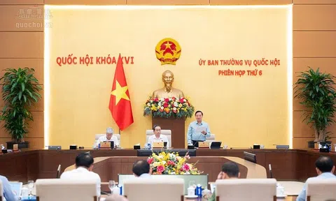 Ủy ban Thường vụ Quốc hội cho ý kiến về việc giải trình, tiếp thu, chỉnh lý dự án Bộ luật Hình sự (sửa đổi)