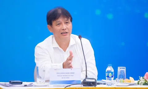 Doanh nghiệp FDI: Hơn 45.000 dự án, chưa đến 200 đơn vị phát sinh thuế tối thiểu