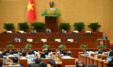 Tạo khuôn khổ pháp lý thuận lợi cho việc ký kết thỏa thuận quốc tế
