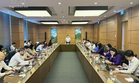 Hoàn thiện chính sách hình sự, đáp ứng yêu cầu cải cách tư pháp và đấu tranh phòng, chống tội phạm trong tình hình mới