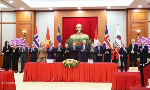 Hiệp định VEFTA: Mở rộng không gian hợp tác, nâng tầm chất lượng hội nhập