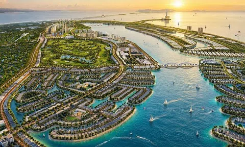 Mua nhà Vinhomes Green Paradise, cha mẹ trao cho con di sản bên rừng, kế biển