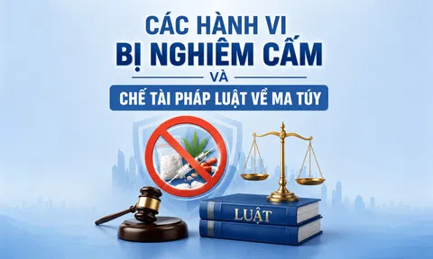 Các hành vi bị nghiêm cấm và chế tài pháp luật về ma túy