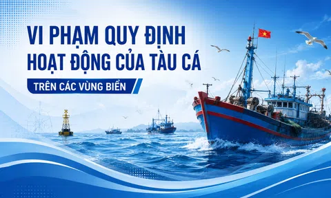 Vi phạm quy định hoạt động của tàu cá trên các vùng biển
