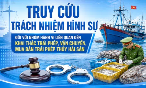 Truy cứu trách nhiệm hình sự đối với nhóm hành vi liên quan đến khai thác trái phép, vận chuyển, mua bán trái phép thủy hải sản