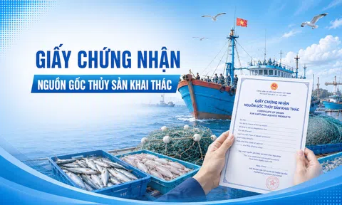 Giấy chứng nhận nguồn gốc thủy sản khai thác