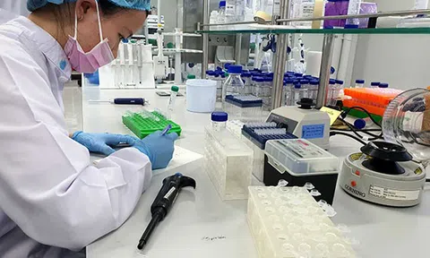 Thủ tướng làm việc với Nanogen: Mẫu vắc xin NanoCovax đã được gửi cho WHO kiểm tra