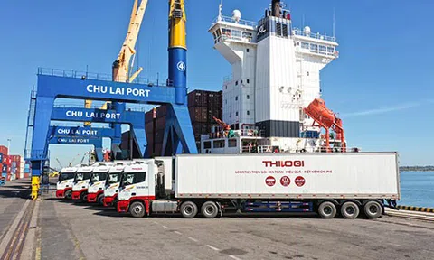 THILOGI thay đổi nhận diện thương hiệu trên các phương tiện vận chuyển