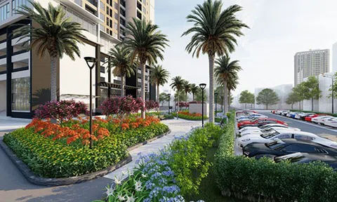 Đầu tư sinh lời vượt trội với shophouse khối đế dự án Rose Town