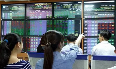 Nguyên tắc công bố thông tin trên thị trường chứng khoán