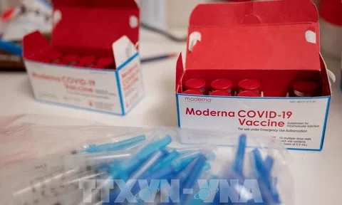 Việt Nam đã phê duyệt 5 vaccine để cấp bách phòng, chống dịch COVID-19
