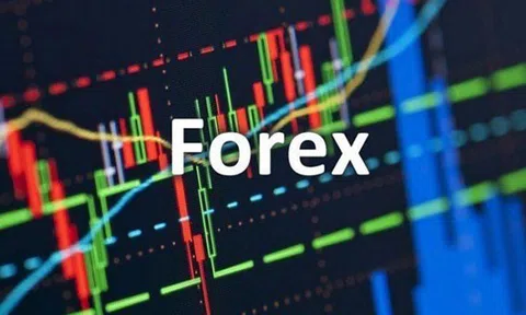 Hệ luỵ từ sàn Forex trái phép : Chuyên gia luật kiến nghị gì ?