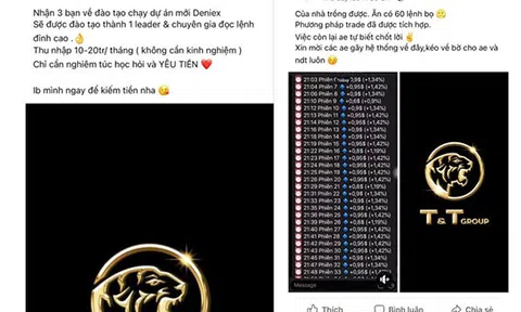 Hành vi mạo danh logo, nhãn hiệu T&T Group có thể bị phạt tù