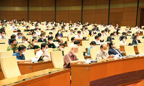 Cử tri và nhân dân gửi ý kiến, kiến nghị đến Kỳ họp thứ nhất, Quốc hội khóa XV
