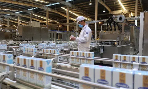 Vinamilk: doanh thu quý II đạt mức cao kỷ lục nhờ động lực từ thị trường xuất khẩu & phục hồi từ thị trường nội địa