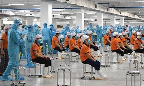 Doanh nghiệp giờ như cá trên cạn