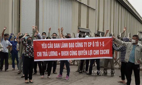 Người lao động mất quyền lợi do doanh nghiệp nợ BHXH kéo dài: Cần xử lý nghiêm theo qui định pháp luật hình sự