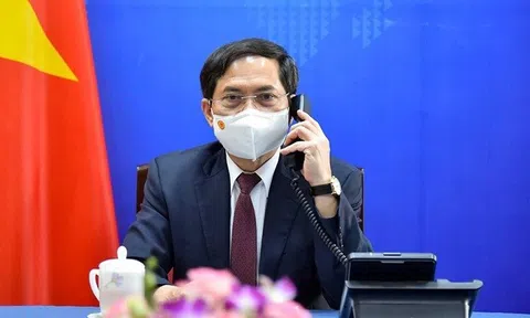 Thành lập Tổ công tác của Chính phủ về ngoại giao vắc xin