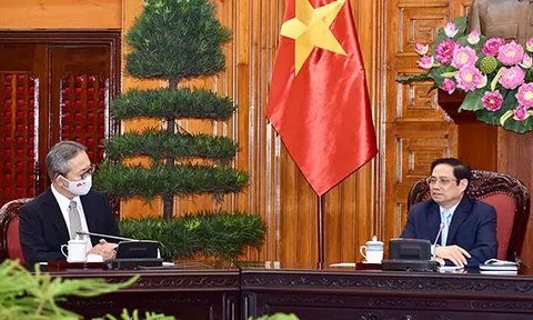 Chính phủ Nhật Bản có quan điểm hỗ trợ mọi mặt cho Việt Nam trong tình hình hiện nay