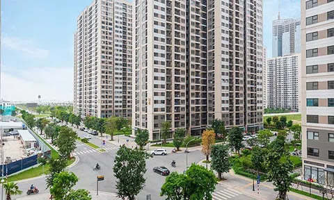 Cầm tiền tỷ khó mua chung cư, thời dịch bệnh mà giá vẫn tăng